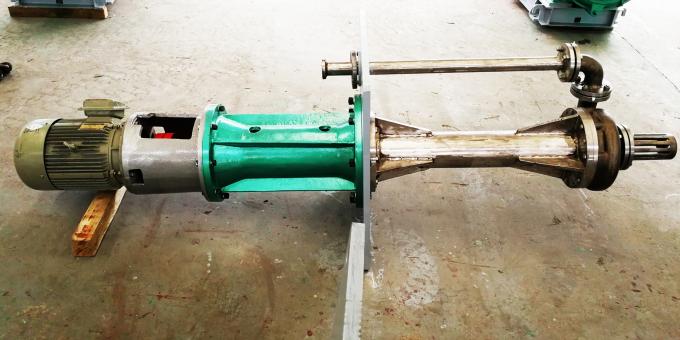 Pompe a mensola verticali della multi fase di rendimento elevato con il motore elettrico 380V